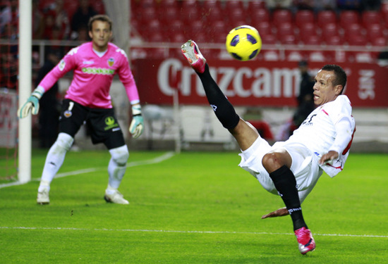 30吨植物油精炼设备