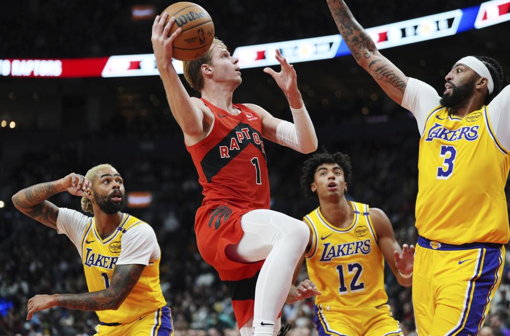 并不仅仅适 并不仅仅适